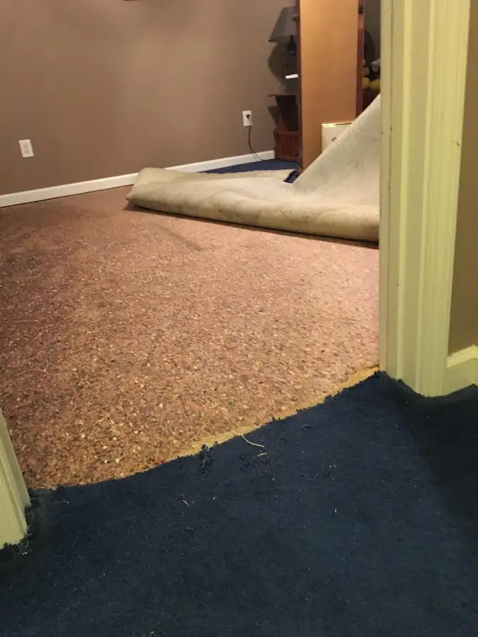 Carpet pad removal revealing water damage during Drying & Dehumidification in St. Charles